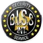 D.I.S.S. Int. Security Service