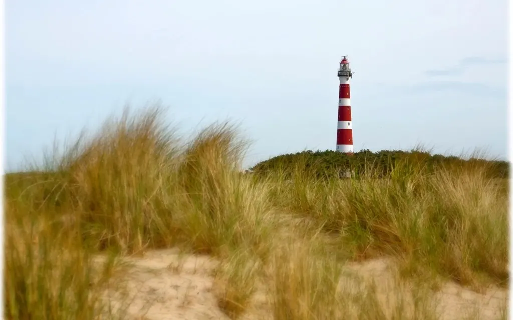 Ihr Zuhause auf Zeit an der Nordsee